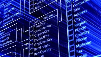 數(shù)據(jù)驅(qū)動(dòng)未來 一所值得你首選的大學(xué)如何打造卓越的數(shù)據(jù)處理與存儲(chǔ)支持服務(wù)